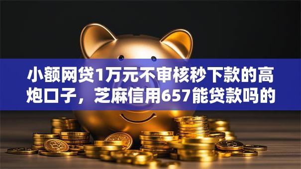 小额网贷1万元不审核秒下款的高炮口子，芝麻信用657能贷款吗的5个平台介绍