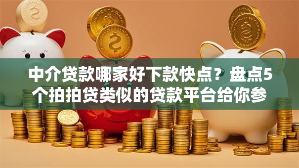 中介贷款哪家好下款快点?盘点5个拍拍贷类似的贷款平台给你参考 中介贷款哪家好下款快点?盘点5个拍拍贷类似的贷款平台给你参考