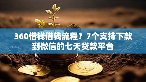 360借钱借钱流程?7个支持下款到微信的七天贷款平台 360借钱借钱流程?7个支持下款到微信的七天贷款平台