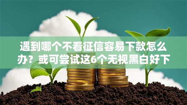 遇到哪个不看征信容易下款怎么办？或可尝试这6个无视黑白好下款的口子
