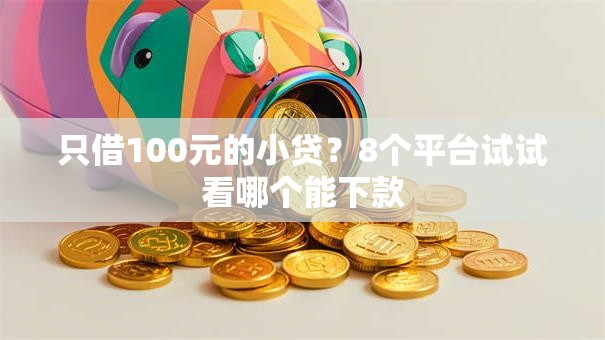 只借100元的小贷？8个平台试试看哪个能下款