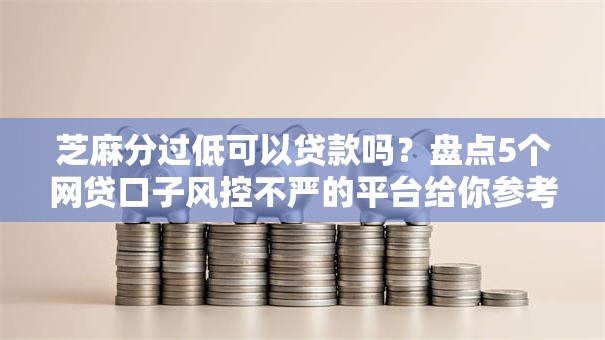芝麻分过低可以贷款吗？盘点5个网贷口子风控不严的平台给你参考