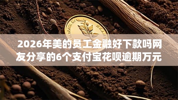 2026年美的员工金融好下款吗网友分享的6个支付宝花呗逾期万元快速贷款app我觉得不错！
