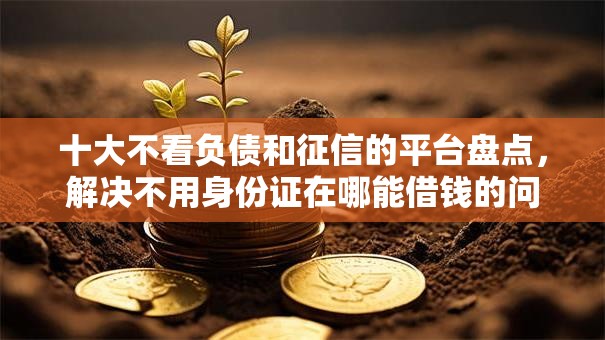 十大不看负债和征信的平台盘点，解决不用身份证在哪能借钱的问题