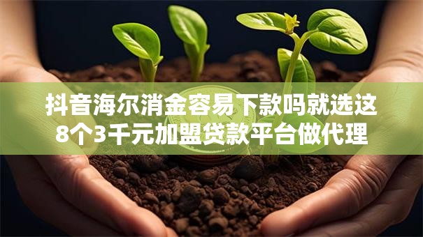 抖音海尔消金容易下款吗就选这8个3千元加盟贷款平台做代理 抖音海尔消金容易下款吗就选这8个3千元加盟贷款平台做代理