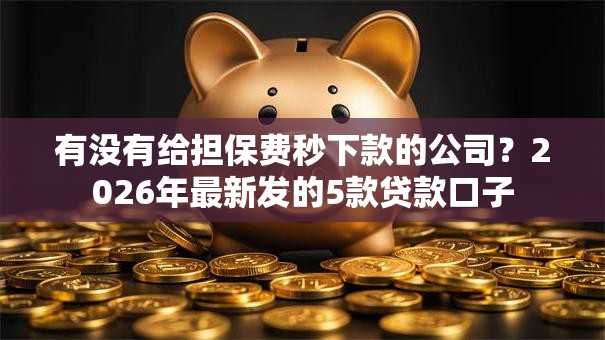 有没有给担保费秒下款的公司？2026年最新发的5款贷款口子