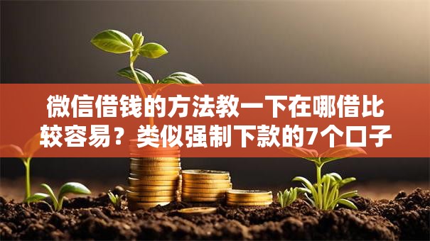 微信借钱的方法教一下在哪借比较容易?类似强制下款的7个口子参考 微信借钱的方法教一下在哪借比较容易?类似强制下款的7个口子参考