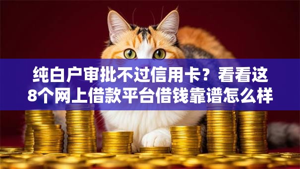 纯白户审批不过信用卡？看看这8个网上借款平台借钱靠谱怎么样
