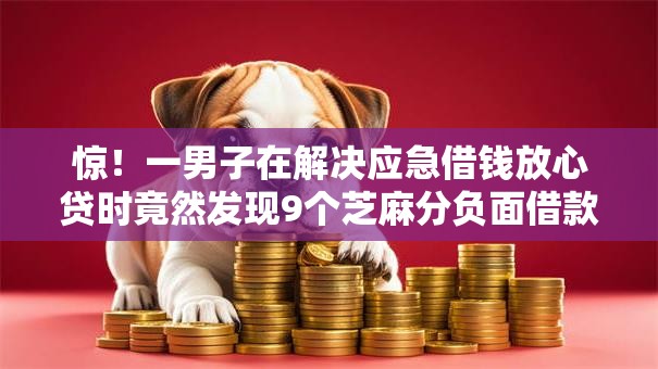 惊！一男子在解决应急借钱放心贷时竟然发现9个芝麻分负面借款的软件，事后分享了出来