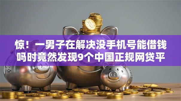 惊！一男子在解决没手机号能借钱吗时竟然发现9个中国正规网贷平台，事后分享了出来