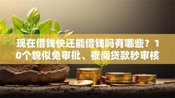 现在借钱快还能借钱吗有哪些？10个貌似免审批、夜间贷款秒审核秒下款的平台合集