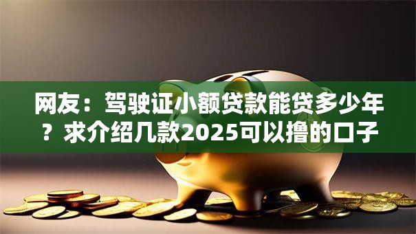 网友：驾驶证小额贷款能贷多少年？求介绍几款2025可以撸的口子