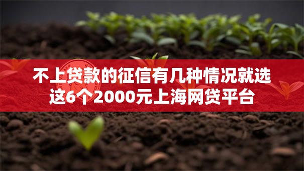 不上贷款的征信有几种情况就选这6个2000元上海网贷平台 不上贷款的征信有几种情况就选这6个2000元上海网贷平台