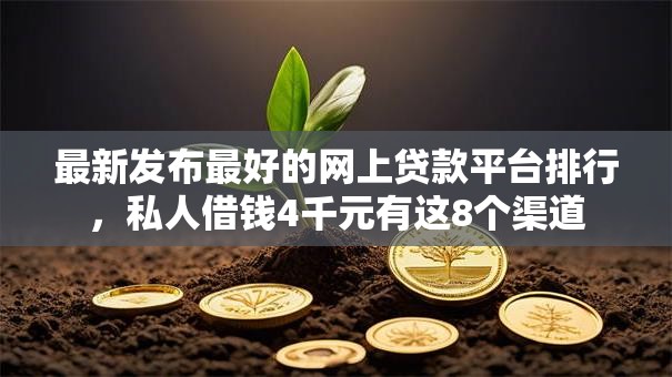 最新发布最好的网上贷款平台排行，私人借钱4千元有这8个渠道