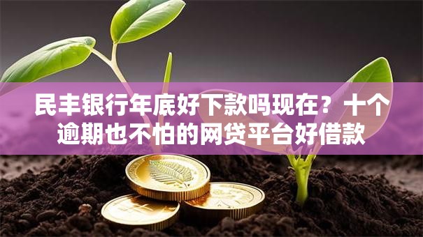 民丰银行年底好下款吗现在？十个逾期也不怕的网贷平台好借款