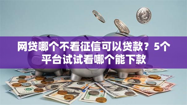 网贷哪个不看征信可以贷款？5个平台试试看哪个能下款