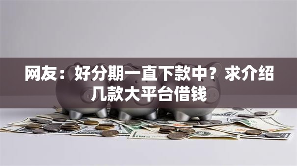 网友：好分期一直下款中？求介绍几款大平台借钱