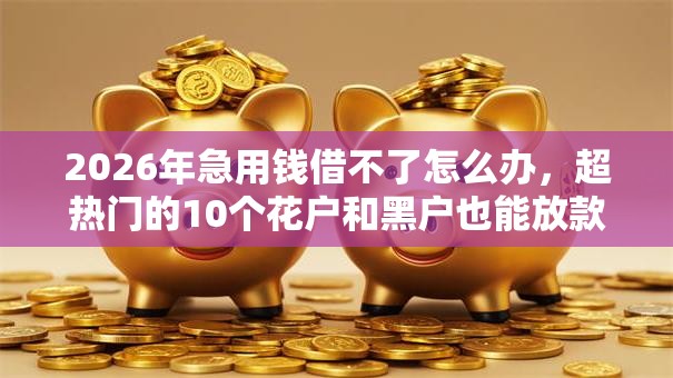 2026年急用钱借不了怎么办,超热门的10个花户和黑户也能放款的平台推荐 2026年急用钱借不了怎么办,超热门的10个花户和黑户也能放款的平台推荐
