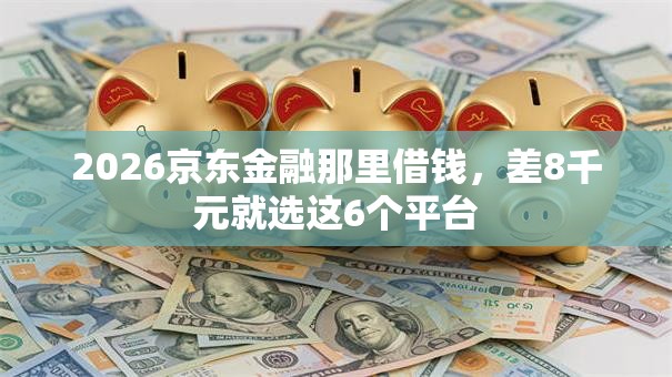 2026京东金融那里借钱，差8千元就选这6个平台