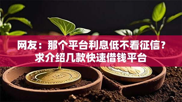 网友：那个平台利息低不看征信？求介绍几款快速借钱平台