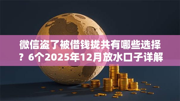 微信盗了被借钱拢共有哪些选择？6个2025年12月放水口子详解