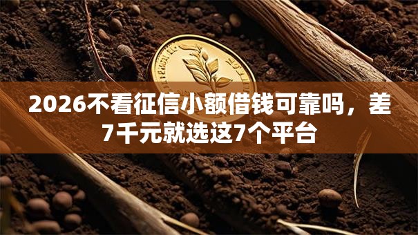 2026不看征信小额借钱可靠吗，差7千元就选这7个平台