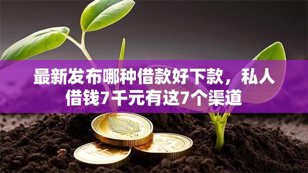 最新发布哪种借款好下款，私人借钱7千元有这7个渠道