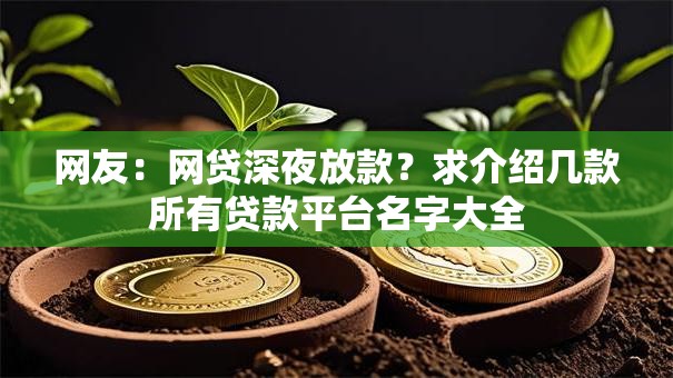 网友：网贷深夜放款？求介绍几款所有贷款平台名字大全
