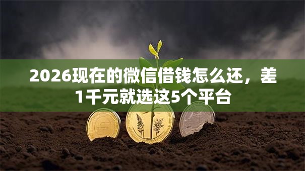 2026现在的微信借钱怎么还，差1千元就选这5个平台