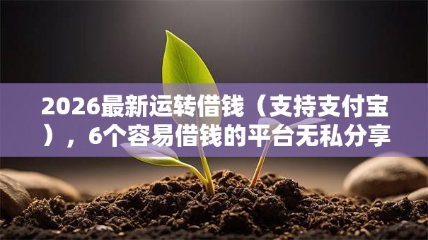 2026最新运转借钱（支持支付宝），6个容易借钱的平台无私分享