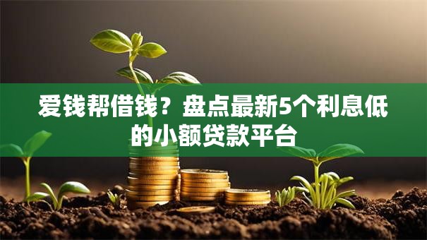 爱钱帮借钱？盘点最新5个利息低的小额贷款平台
