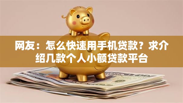 网友：怎么快速用手机贷款？求介绍几款个人小额贷款平台