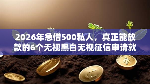 2026年急借500私人，真正能放款的6个无视黑白无视征信申请就下款的软件推荐