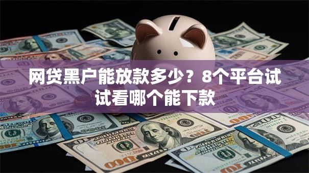 网贷黑户能放款多少？8个平台试试看哪个能下款