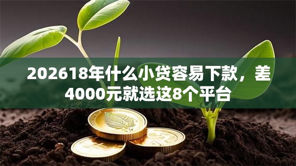202618年什么小贷容易下款，差4000元就选这8个平台