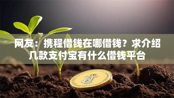 网友：携程借钱在哪借钱？求介绍几款支付宝有什么借钱平台