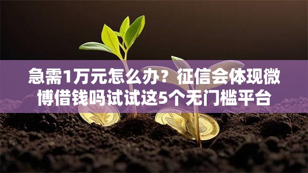 急需1万元怎么办？征信会体现微博借钱吗试试这5个无门槛平台