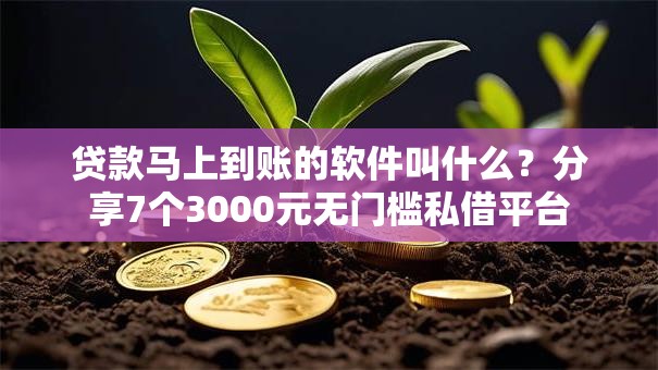贷款马上到账的软件叫什么？分享7个3000元无门槛私借平台
