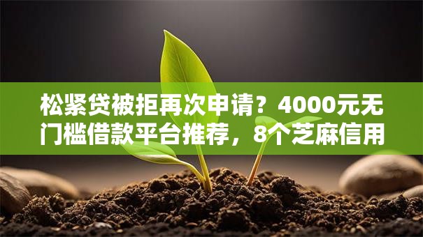 松紧贷被拒再次申请？4000元无门槛借款平台推荐，8个芝麻信用600贷款平台盘点