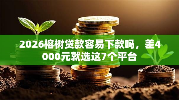 2026榕树贷款容易下款吗，差4000元就选这7个平台