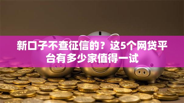 新口子不查征信的？这5个网贷平台有多少家值得一试