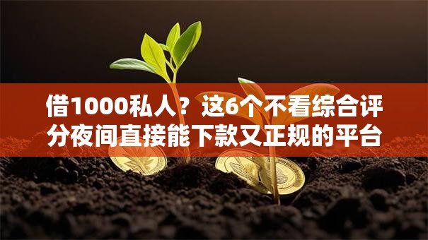 借1000私人?这6个不看综合评分夜间直接能下款又正规的平台值得一试 借1000私人?这6个不看综合评分夜间直接能下款又正规的平台值得一试