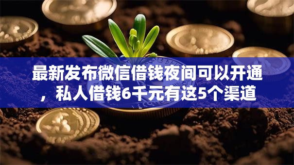 最新发布微信借钱夜间可以开通，私人借钱6千元有这5个渠道
