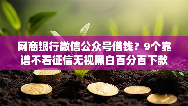 网商银行微信公众号借钱?9个靠谱不看征信无视黑白百分百下款app推荐 网商银行微信公众号借钱?9个靠谱不看征信无视黑白百分百下款app推荐