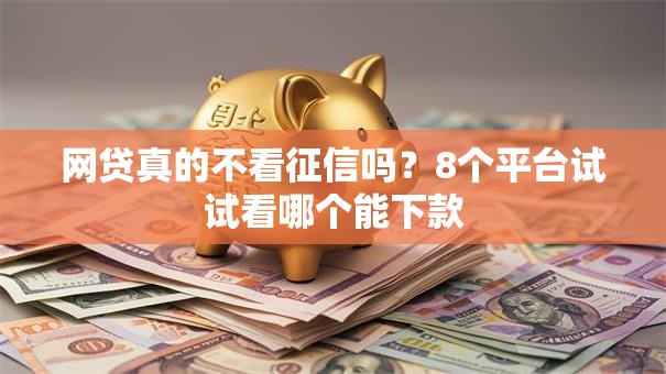 网贷真的不看征信吗？8个平台试试看哪个能下款