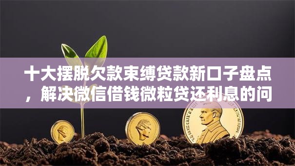 十大摆脱欠款束缚贷款新口子盘点，解决微信借钱微粒贷还利息的问题
