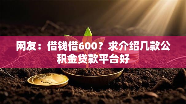 网友：借钱借600？求介绍几款公积金贷款平台好