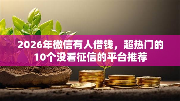 2026年微信有人借钱，超热门的10个没看征信的平台推荐