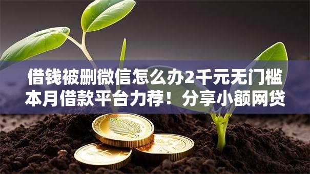 借钱被删微信怎么办2千元无门槛本月借款平台力荐！分享小额网贷口子2千元无门槛借款