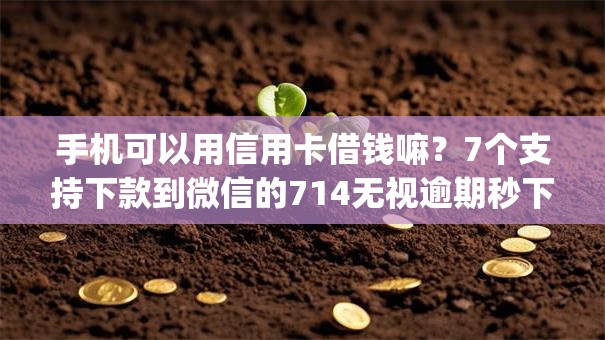 手机可以用信用卡借钱嘛？7个支持下款到微信的714无视逾期秒下的app